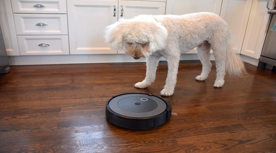 A guide to choosing the best robot vacuum for pet owners